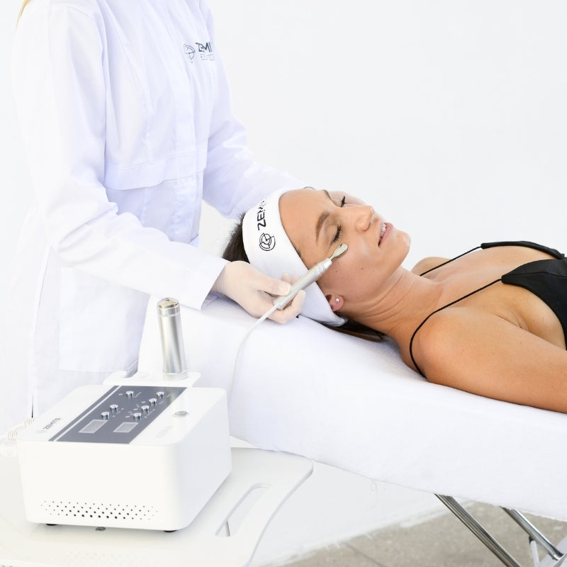 Zemits Klein EL Elektroporationssystem